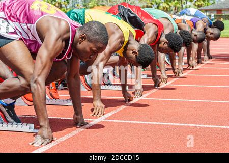 Miami Florida, Tropical Park Greater Miami Athletic Conference Championships, Leichtathletik-Schüler, Teilnehmer an der High School, Läufer Stockfoto