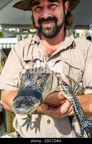 Miami Florida, Springs River Festival Messe 3 drei Jahre alten Everglades Alligator Naturforscher hält, Tierführer, Stockfoto