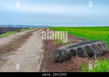 Alte beschädigte zerrissene Autoreifen liegt auf der Seite der Straße auf dem Hintergrund von grünem Gras. Stockfoto