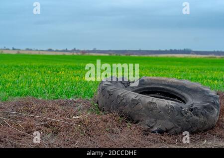 Alte beschädigte zerrissene Autoreifen liegt auf der Seite der Straße auf dem Hintergrund von grünem Gras. Stockfoto