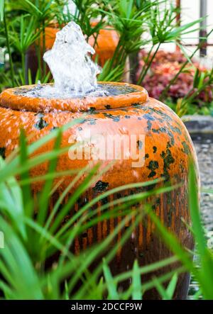 Cyperus Regenschirm-Pflanze und der kleine Brunnen in Keramik-Glas Stockfoto