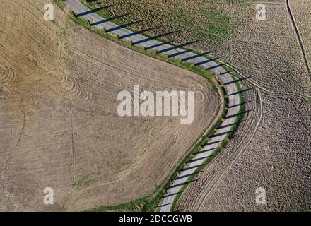 Top Luftbild Straße mit Zypressen in einem gepflügten Feld laufen umgeben. Klassische Aussicht auf die Toskana und Reisekonzept. Stockfoto