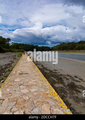 Causeway an der Mündung des Pont L'Abbe Flusses in Finistere Bretagne Nordwesten Frankreich. Stockfoto