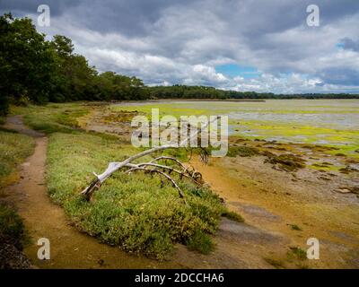 Die Mündung des Flusses Pont L'Abbe in der Finistere Bretagne im Nordwesten Frankreichs. Stockfoto