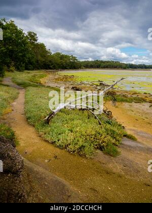 Die Mündung des Flusses Pont L'Abbe in der Finistere Bretagne im Nordwesten Frankreichs. Stockfoto