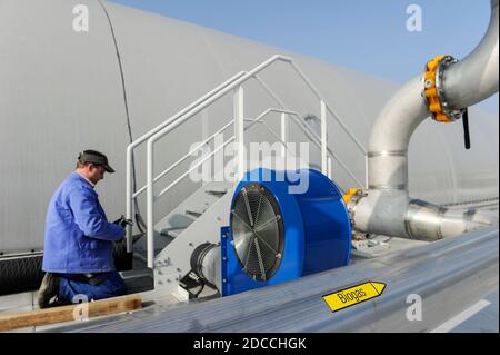 DEUTSCHLAND, Hamburg, Kompostfabrik und Biogasanlage, organischer Abfall wird zu Biogas und Kompost trocken fermentiert, das Biomethan-Gas wird in das öffentliche Gasnetz / DEUTSCHLAND, Hamburg, Kompostwerk und Biogasanlage Buetzberg der Stadtreinigung Hamburg, In einer Trockenfermentation Anlage werden aus Bioabfaellen Biogas und hochwertiger Kompost erzeugt, das Bio-Methan Gas wird durch Vattenfall in das Gasnetz eingespeist Stockfoto