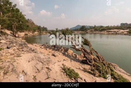 voyager au laos, Reise nach laos dans les 4000 iles au sud du laos. Lieu les plus touristiques du laos. Beaucoup de Backpacker si retrouvent. Stockfoto