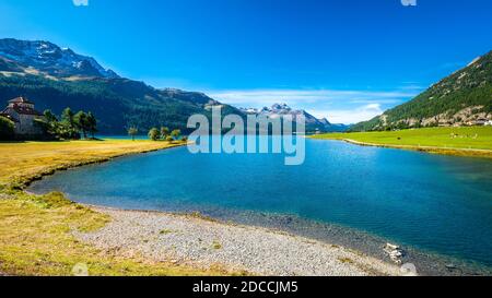 Klarer Morgen am Silvaplanersee, im Oberengadin (Graubünden, Schweiz), zwischen St. Moritzersee und Sils-See Stockfoto