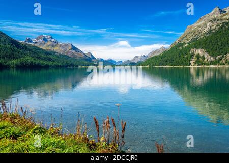 Klarer Morgen am Silvaplanersee, im Oberengadin (Graubünden, Schweiz), zwischen St. Moritzersee und Sils-See Stockfoto