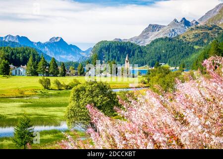 Der Blick auf den Inn, der durch das Oberengadiner Tal (Graubünden, Schweiz) fließt, zieht den Sillersee hoch Stockfoto