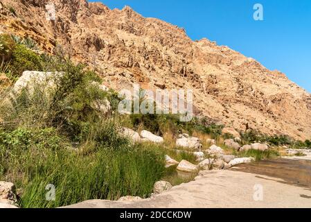 Landschaft von Wadi Tiwi Oase mit Bergen und Palmen im Sultanat Oman. Stockfoto