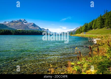 Klarer Morgen am Silsersee, im Oberengadiner Tal (Graubünden, Schweiz). Es liegt zwischen dem Silvaplaner See und dem Malojapass Stockfoto