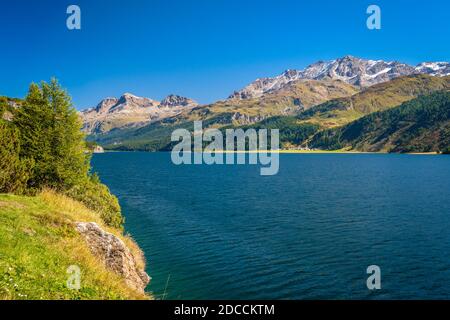 Klarer Morgen am Silsersee, im Oberengadiner Tal (Graubünden, Schweiz). Es liegt zwischen dem Silvaplaner See und dem Malojapass Stockfoto