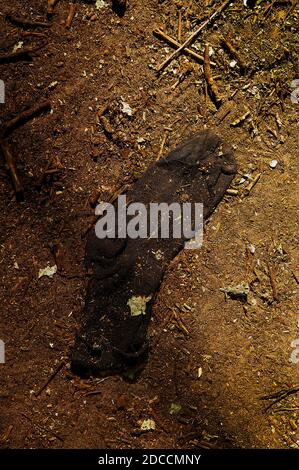 Verlassene Socke Im Wald Stockfoto