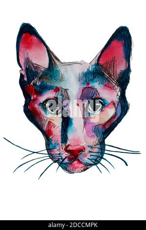 Modernes abstraktes Porträt der Sphinx Katze in rot und blau Farben Aquarell zeitgenössische Kunst Stockfoto