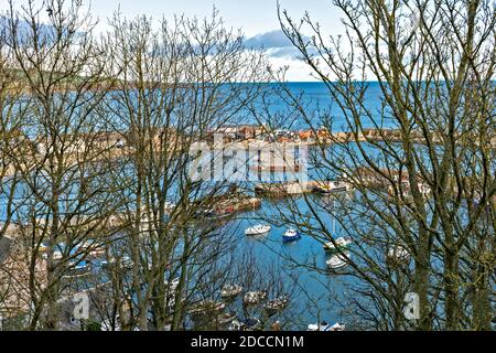 STONEHAVEN ABERDEENSHIRE SCHOTTLAND DER HAFEN VON COWIE DURCH BÄUME GESEHEN WINTER Stockfoto
