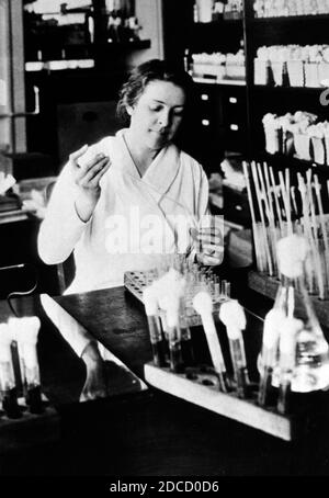 Alice Evans, Amerikanische Mikrobiologin Stockfoto