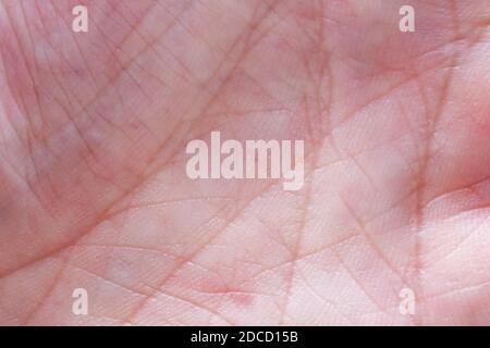 Nahaufnahme der menschlichen Handfläche mit sichtbaren Linien. Hintergrund der Hautstruktur Stockfoto