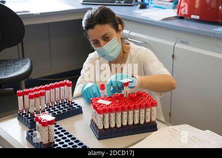 Campobasso, Molise, Italien: Krankenschwester aus dem molekularbiologischen Analyselabor des Cardarelli-Krankenhauses, in Schutzkleidung und Maske gekleidet Stockfoto