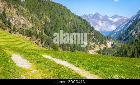 Grüne Felder in der Nähe des idyllischen Bergsteigerdorfes Vent im Ötztal (Tirol, Österreich), umgeben von Bergen wie der Wildspitze (3,774 m) Stockfoto