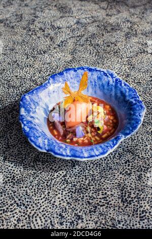 Ein frisch zubereiteter weißer Fisch-Ceviche in einem schönen Teller. Stockfoto