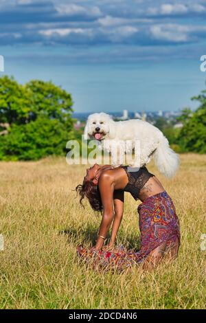 Frau, die Yoga mit ihrem Hund .Doga Yoga mit Ihrem Hund. Stockfoto