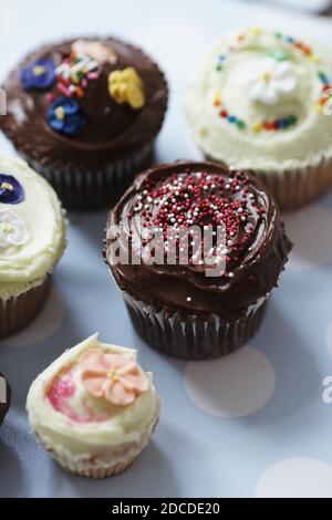 GROSSBRITANNIEN / England / London / Cupcake Decorating Class . Stockfoto