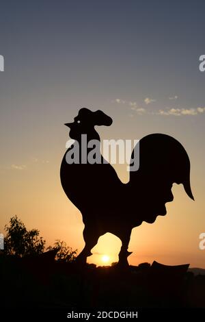 Hahn Wetterfahne, Silhouette gegen den Himmel, Morgendämmerung Stockfoto