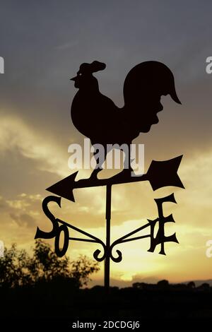 Hahn Wetterfahne, Silhouette gegen den Himmel, Morgendämmerung Stockfoto