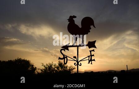 Hahn Wetterfahne, Silhouette gegen den Himmel, Morgendämmerung Stockfoto