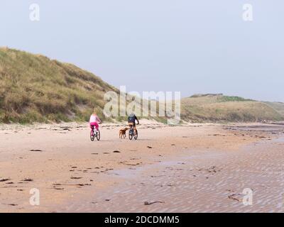 Radfahren mit Hund am northumberland Strand Stockfoto