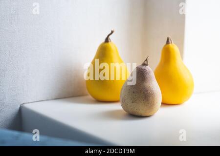 Stillleben von drei gelben Birnen auf einem weißen Tisch. Schöne Schatten, natürliches Licht, eine neue Ernte. Verdorbene Produkte. Zeichnen Sie ein Objekt aus der Natur Stockfoto