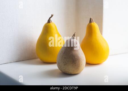 Stillleben von drei gelben Birnen auf einem weißen Tisch. Schöne Schatten, natürliches Licht, eine neue Ernte. Verdorbene Produkte. Zeichnen Sie ein Objekt aus der Natur Stockfoto