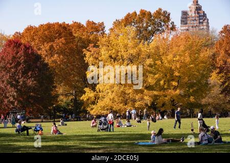 Der Central Park mit Herbst Laub im Herbst, NYC, USA Stockfoto