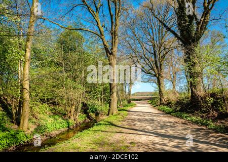 Wanderweg in einer wunderschönen holländischen Bauernhofläandschaft entlang grüner Felder, Wälder und einem Fluss. Es liegt in der Nähe des kleinen Dorfes namens Vasse Stockfoto