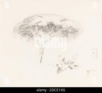 Edward Lear, (Künstler), British, 1812 - 1888, Umbrella Pine and Other Studies, 1839/1845, Graphit auf Webepapier, insgesamt: 24.7 x 29 cm (9 3/4 x 11 7/16 Zoll Stockfoto