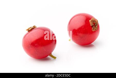 two red currant berries macro isolated on white background Stockfoto