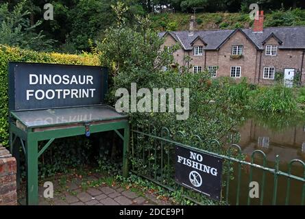 Lymm Dinosaurier Fußabdruck, Chirotherium stortonense Fußabdruck in Sandstein, Lymm Dorf, Warrington, Cheshire, England, Großbritannien Stockfoto