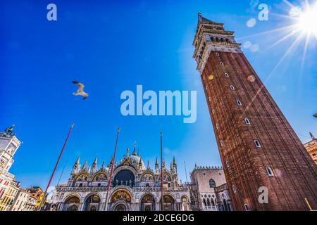 Campanile Glockenturm unter der Sonne am Piazza San Marco Möwe Markusplatz Markusplatz in Venedig Italien. Der Glockenturm war der erste erec Stockfoto