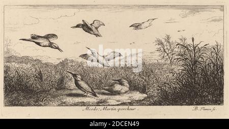 Albert Flamen, (Künstler), Flämisch, c. 1620 - 1669 oder danach, Alcedo, der Eisvogel, EIN Vogelbuch (Livre d'oiseaux), (Serie), Radierung Stockfoto