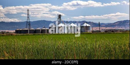 Blick auf landwirtschaftliche Getreidespeicher in Kalifornien Stockfoto