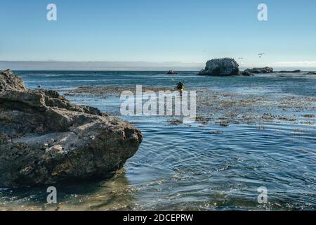 Kajakfahren auf dem Meer. Höhlen, Bögen und Felsen am Pismo Beach, Kalifornien Stockfoto
