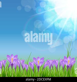Frohe Ostern Karte mit Krokussen Illustration Stockfoto