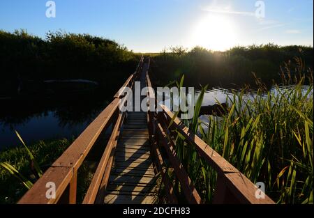 Brücke zur Washington Coast Stockfoto