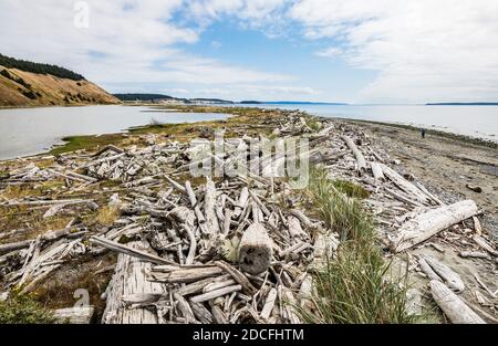 Die Lagune unter Ebeys Landing Bluff Trail, Whidbey Island, Washington, USA. Stockfoto