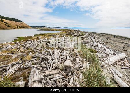 Die Lagune unter Ebeys Landing Bluff Trail, Whidbey Island, Washington, USA. Stockfoto