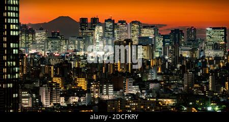 Luftaufnahme von Tokyo City Skyscraaper mit Fuji Berg im Hintergrund, Japan Stockfoto