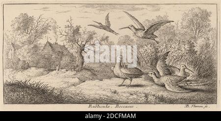 Albert Flamen, (Künstler), Flämisch, c. 1620 - 1669 oder danach, Rusticula, der Holzhahn, EIN Vogelbuch (Livre d'oiseaux), (Serie), Radierung Stockfoto