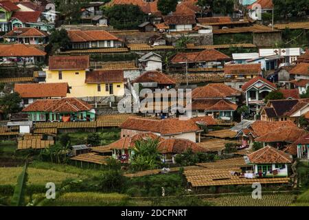 Sumedang, Indonesien. November 2020. Blick auf das Tabakdorf in Sumedang.Laut der Indonesischen Tabakbauern-Vereinigung (APTI) werden Tabak und Zigarettenstöcke nicht vom Markt aufgenommen, wenn die Regierung die Verbrauchsteuern für Zigaretten 2021 erneut erhöht. Auch der Zigarettenabsatz wird aufgrund der hohen Zigarettenpreise sinken. Dieser Zustand wurde durch die Auswirkungen der COVID-19-Pandemie noch verstärkt. Kredit: SOPA Images Limited/Alamy Live Nachrichten Stockfoto