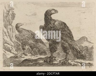 Stefano della Bella, (Künstler), Florentine, 1610 - 1664, zwei Adler, beide mit nach rechts gedrehten Köpfen, Quadreria Medicea, Bd.3, (Band), Radierung auf Büttenpapier Stockfoto